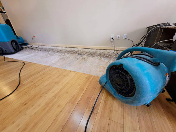Professional Flood Damage Cleanup technician working in Seguin, TX
